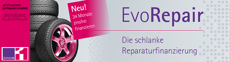 Minibanner zu evorepair